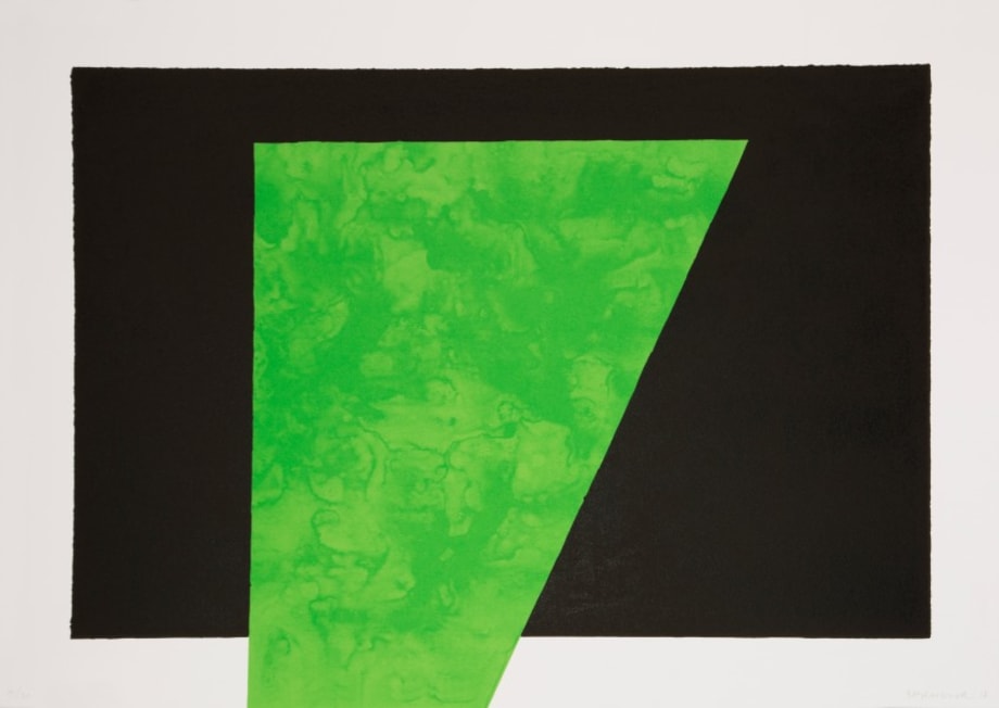 David Batchelor Chromoscape 4 10 18