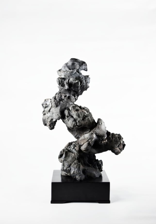 Zhao Meng Sculpture No.1, 2018