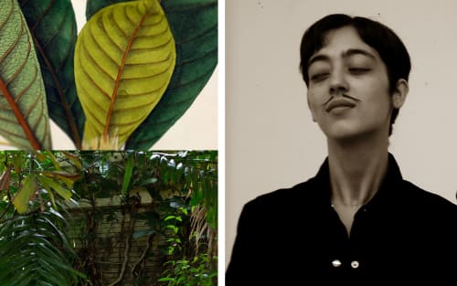 How I became an artist: Shubigi Rao | Art Basel