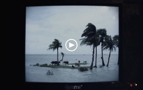 Watch Daniel Steegmann Mangrané’s ‘Fog Dog’ 