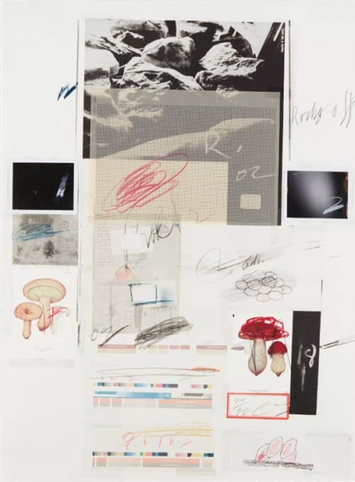 cytwombly 画集 The Essential Cy Twombly | サイ・トゥオンブリー画集 | nostos