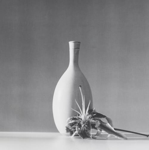 アート・デザイン・音楽 FLORA Mapplethorpe Robert Mapplethorpe - Wikipedia｜アート・デザイン・音楽
