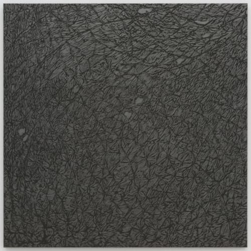 Giuseppe Penone | Pelle di grafite - riflesso di sodalite, 2006 | Art Basel