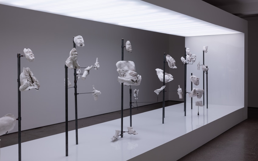 Carl Freedman Gallery