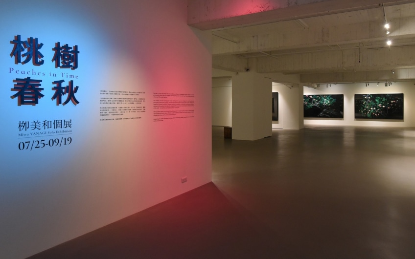 Beyond Gallery