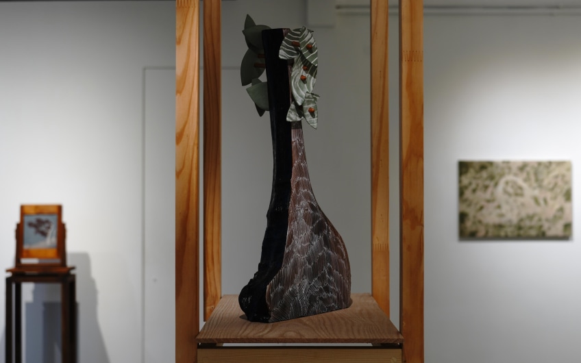 SC Gallery