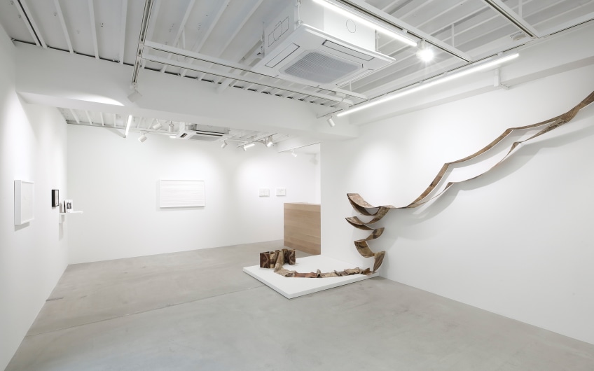 Maho Kubota Gallery