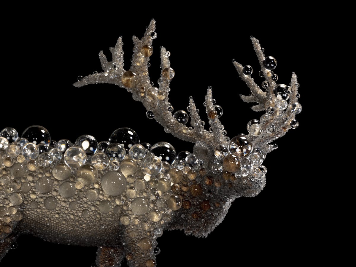 Meet the artist who turns deer into galaxies