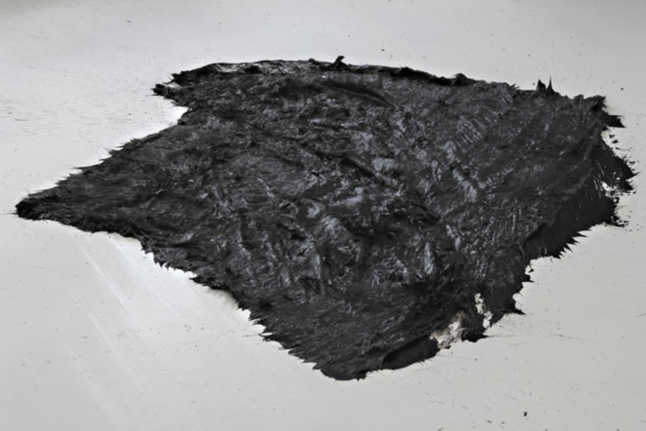 Untitled (Fur)