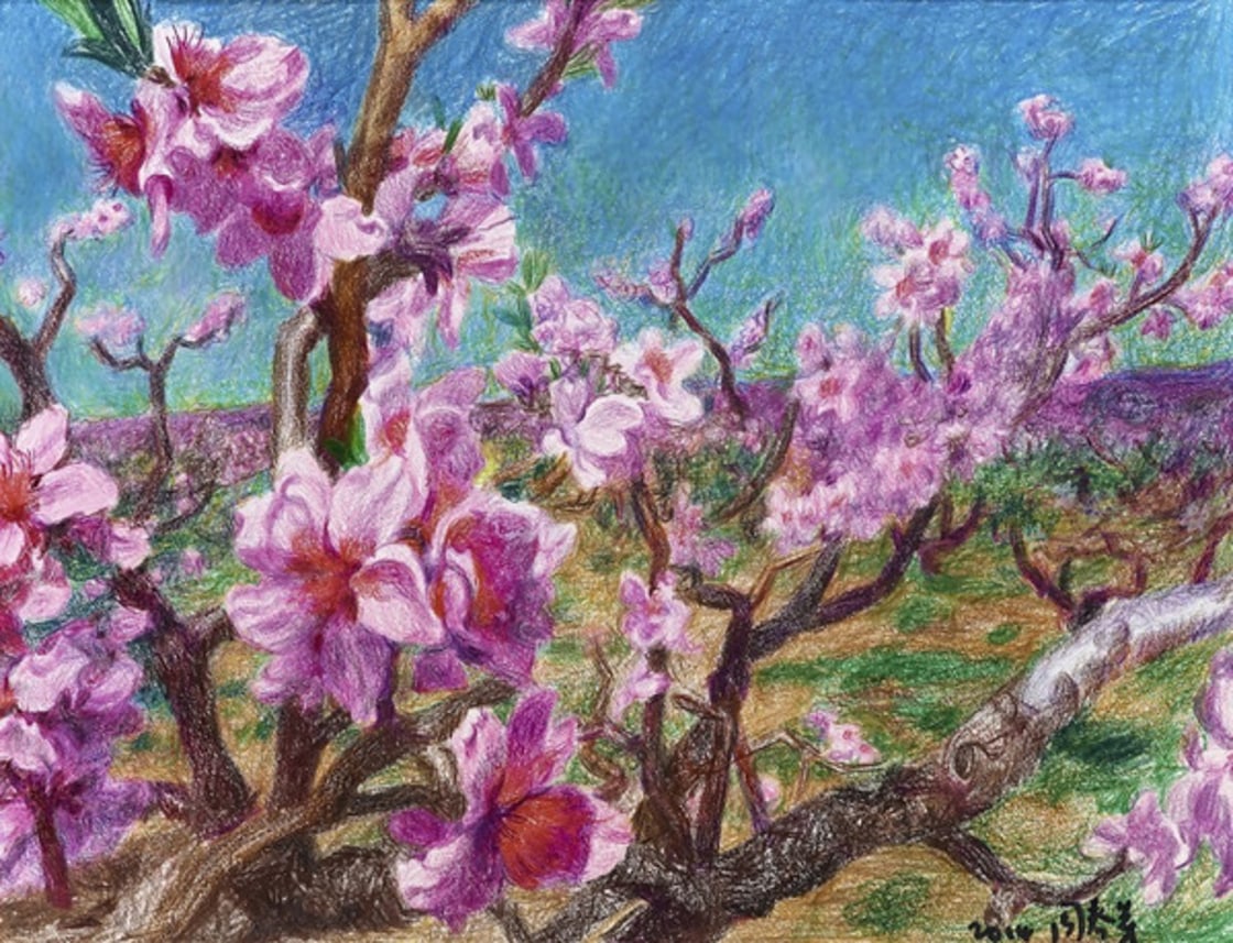 Nanhui Peach Blossom Village