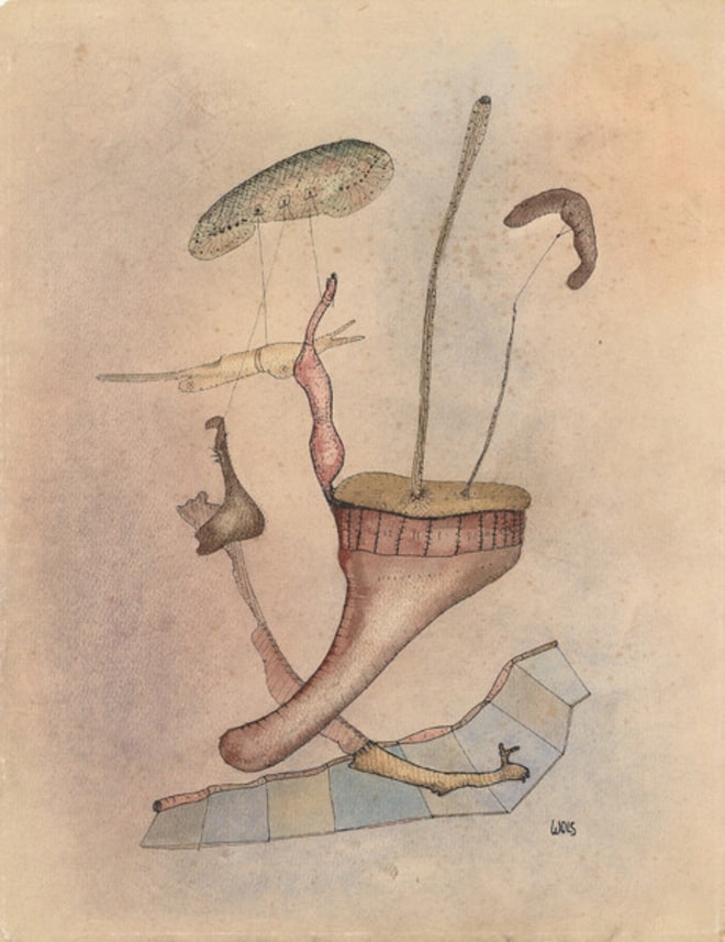 'Corolles de champignons volants'