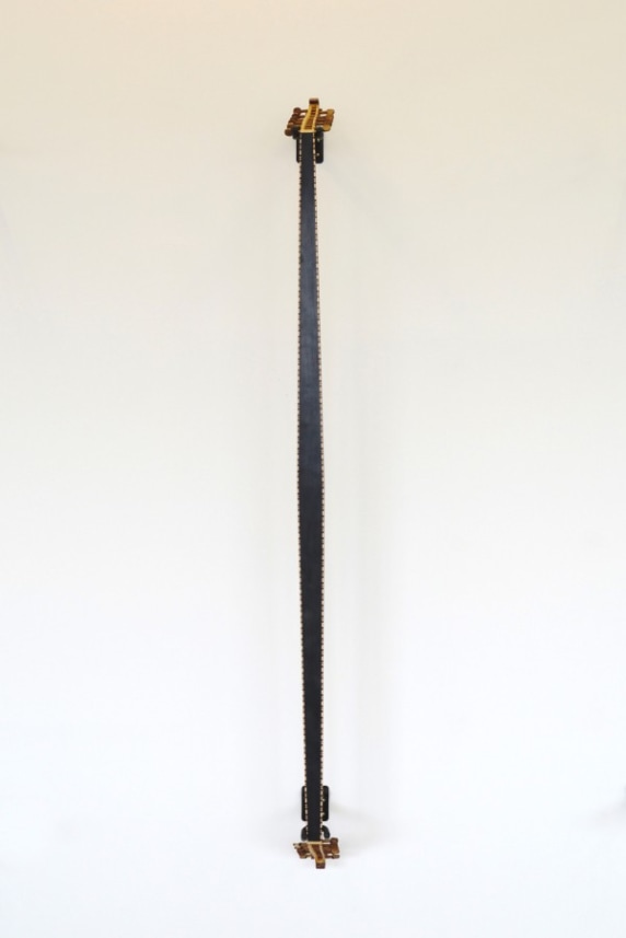Neck IX