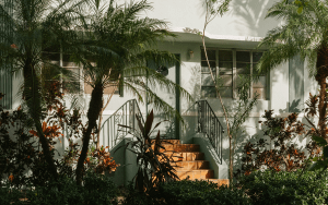 In Miami, follow the light