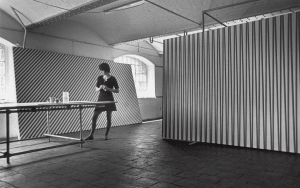 Bridget Riley’s black-and-white revolution