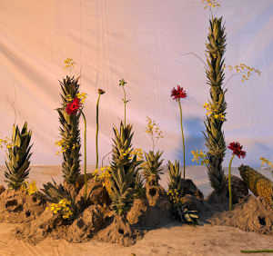 Artist-chef Caique Tizzi sees sculptures in pineapples