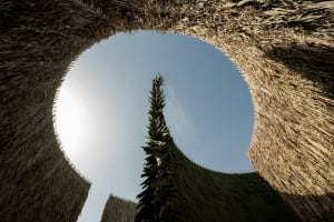 A first look at Art Basel Qatar’s Special Projects