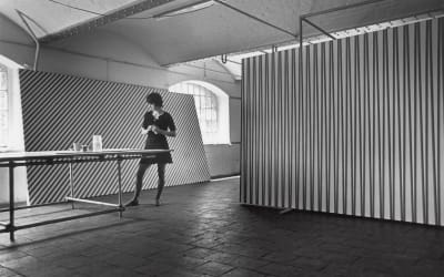 Dia’s new exhibition reveals how the Op Art trailblazer opened a new field of perception by stripping painting back to its core