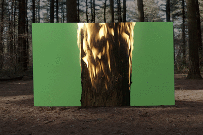 Formafantasma rethinks the life cycles of the materials and systems around us