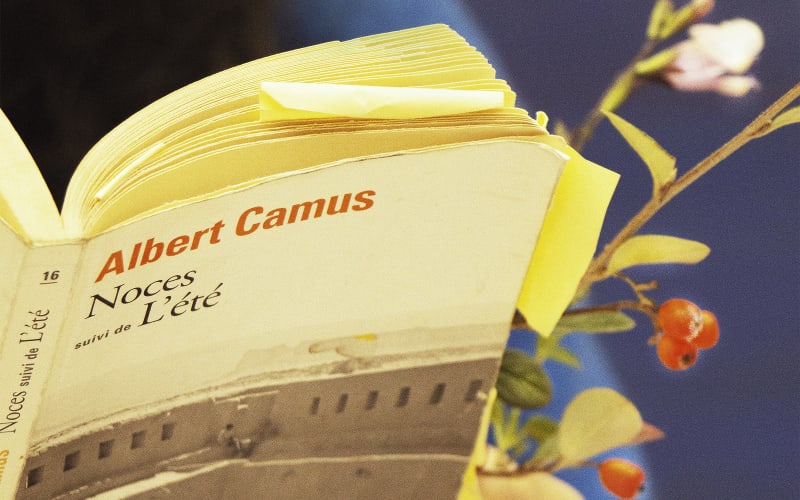 Cinq artistes parisien∙ne∙s parlent de leur livre favori