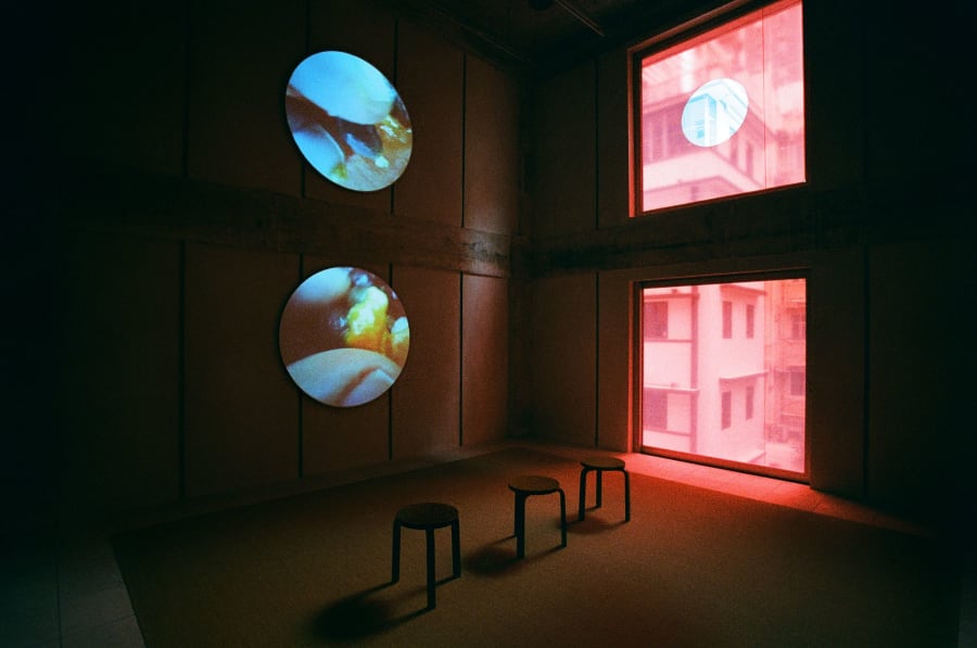 China’s new private foundations are championing the experimental