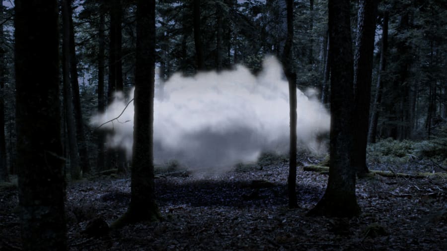 One Work: Anima by Laurent Grasso