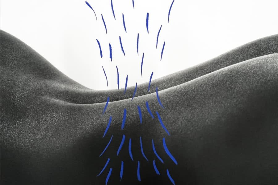 Editors’ picks: 8 projects not to miss at Art Basel Paris 2025