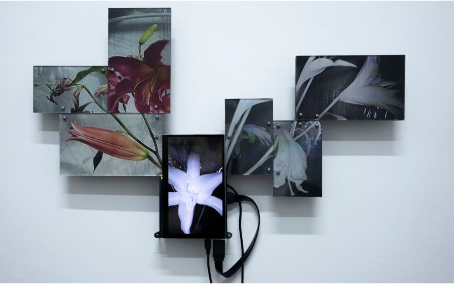 Mining data for art