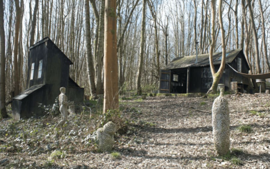Why artist Matthew Darbyshire took to the woods