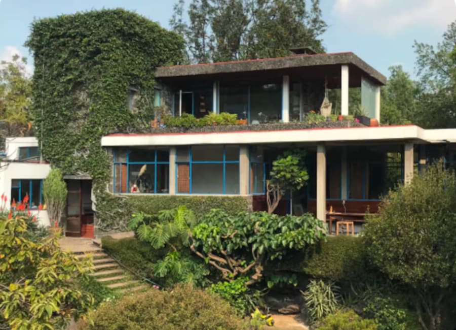 Mexico City: tour Casa-Estudio Max Cetto with his grandson