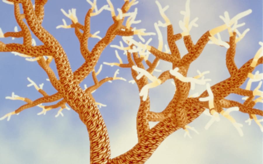 From Vera Molnar to Rebecca Allen, discover the pioneers of digital art