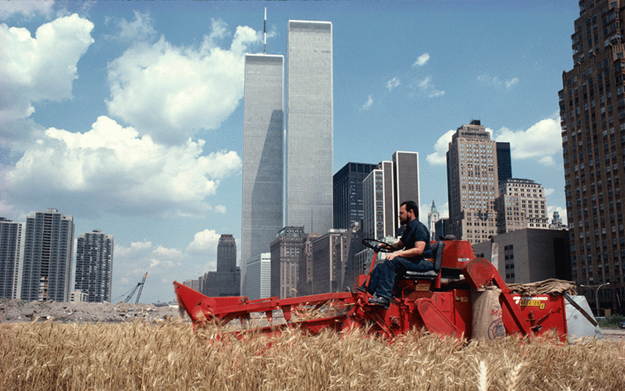 Eco-pioneer Agnes Denes transforms Basel’s Messeplatz into a wheat field