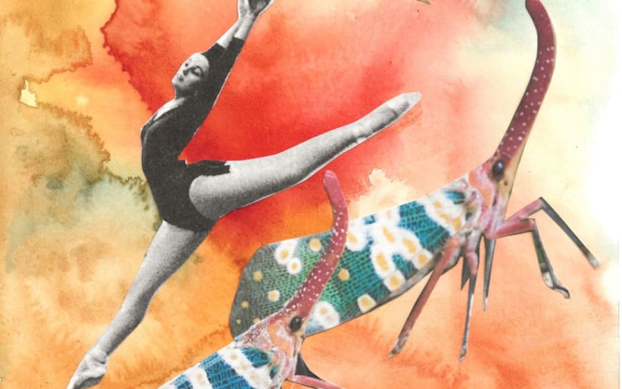 Performance | Lanternfly Ballet by Monster Chetwynd