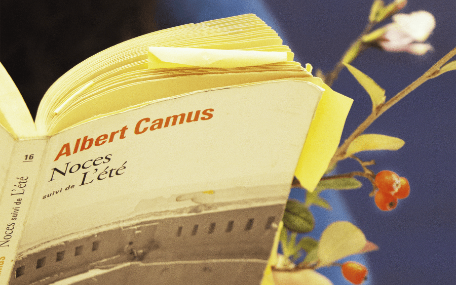 Cinq artistes parisien∙ne∙s parlent de leur livre favori