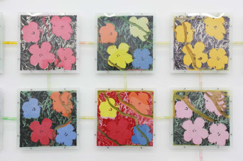 Group of “Flowers (#47, #49, #17,#6, #12, #35)”