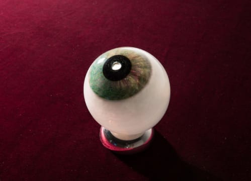 Institute of Intimate Museums – The Third Eye (eyeball)