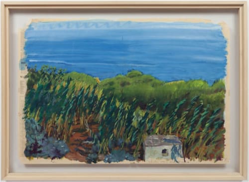 Chicken Coop and Distant Island