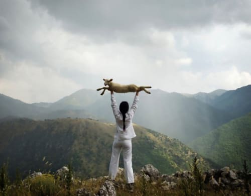 Holding the Lamb