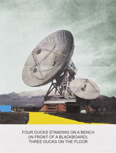 The News: Four Ducks Standing on a Bench