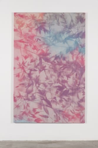Untitled (Pomona, CA, Lilies)