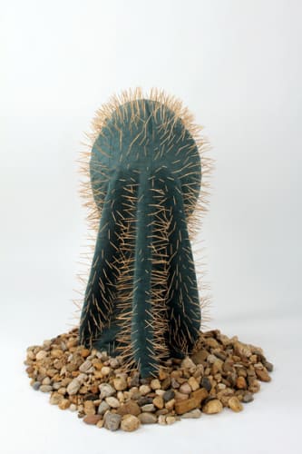 Human Cactus