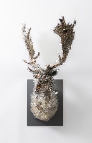 PixCell-Fallow Deer