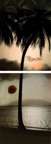 Rising Sun, Falling Coconut
