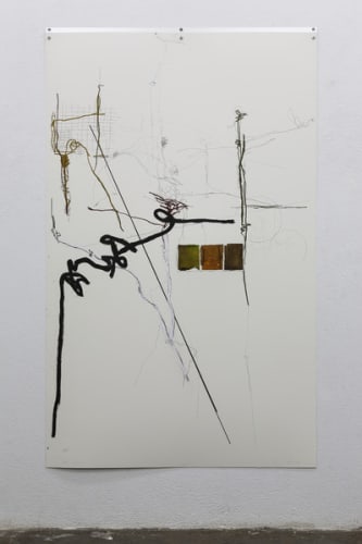 HERBARIUM (Madrid) # 9