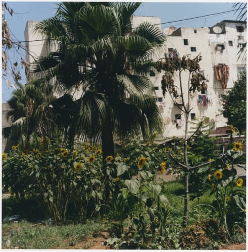 Reprendre casa. Carrières centrales, Casablanca, fig. 16