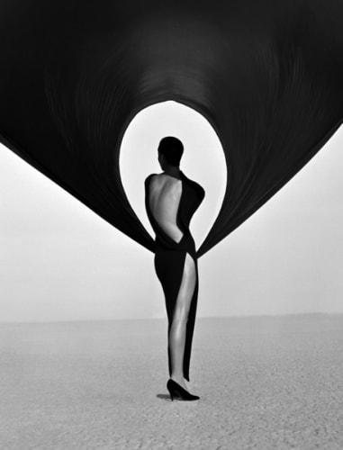 Versace Dress (Back View), El Mirage