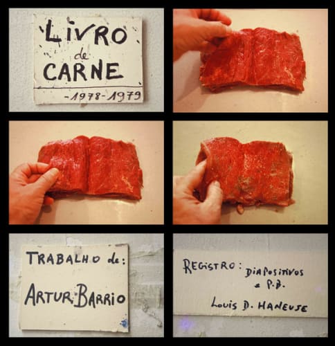 Livro de Carne [Book of Meat]