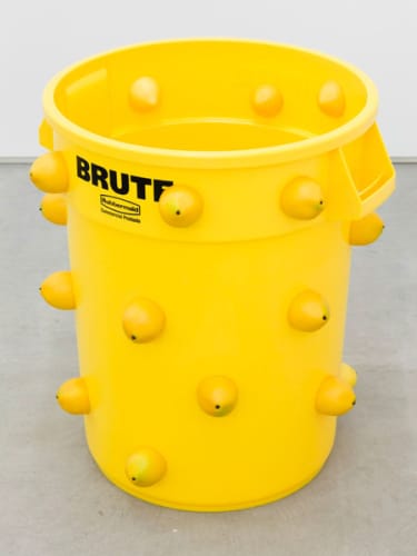 Lemon Brute