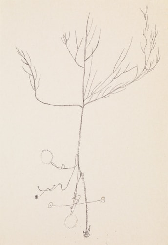 Body Document 3
