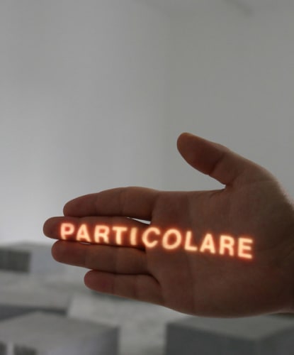 Particolare, 1972 /2013