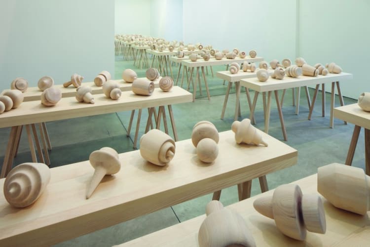 The Shapes Project: Shapes Spinoffs